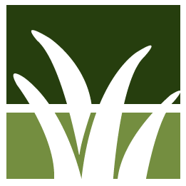 Leaves Removal Pros