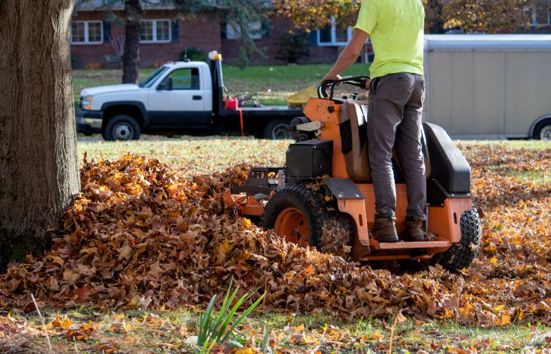 Leaves Removal
