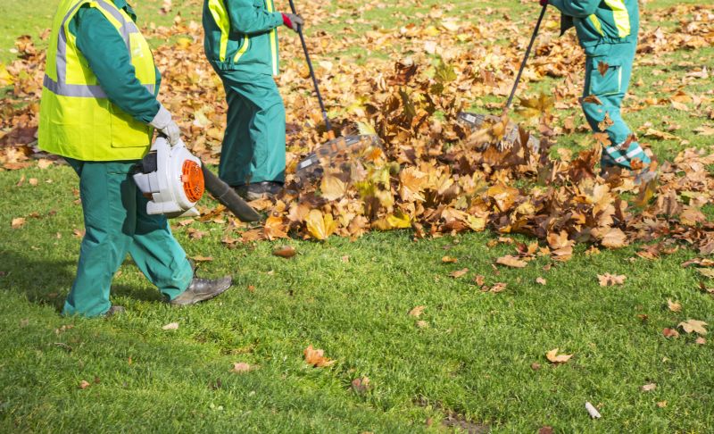 Leaves Removal