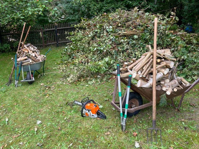 Leaves Removal