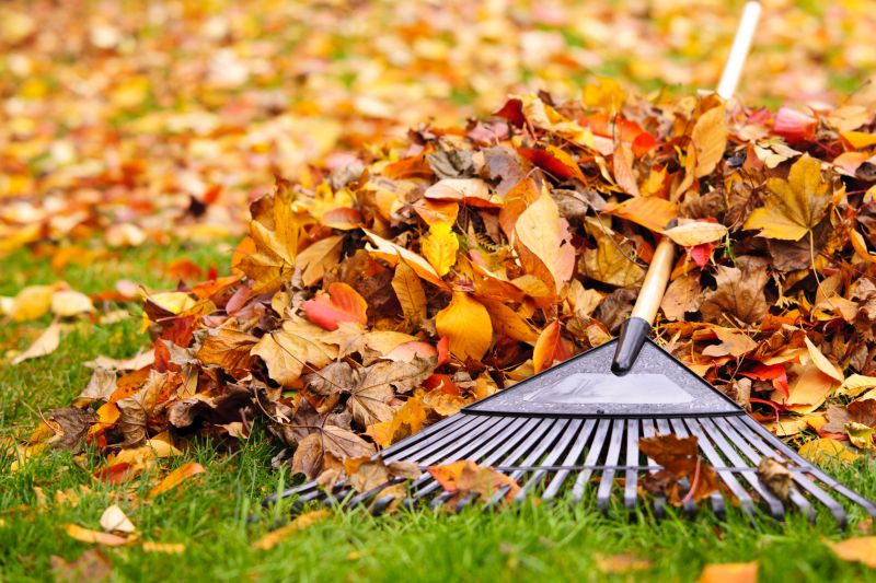 Autumn Leaves Covering Lawns